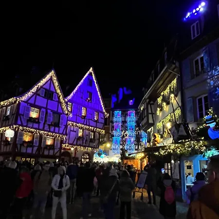 アパート Chez Celine コルマール